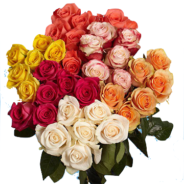 The Gorgeous Long Stem Roses Bouquet Surprise Gift - Roses All Color (360x360), Png Download