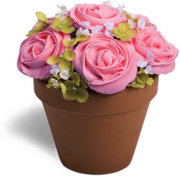 S-potted - Cupcakes Bouquet Flowers (638x800), Png Download