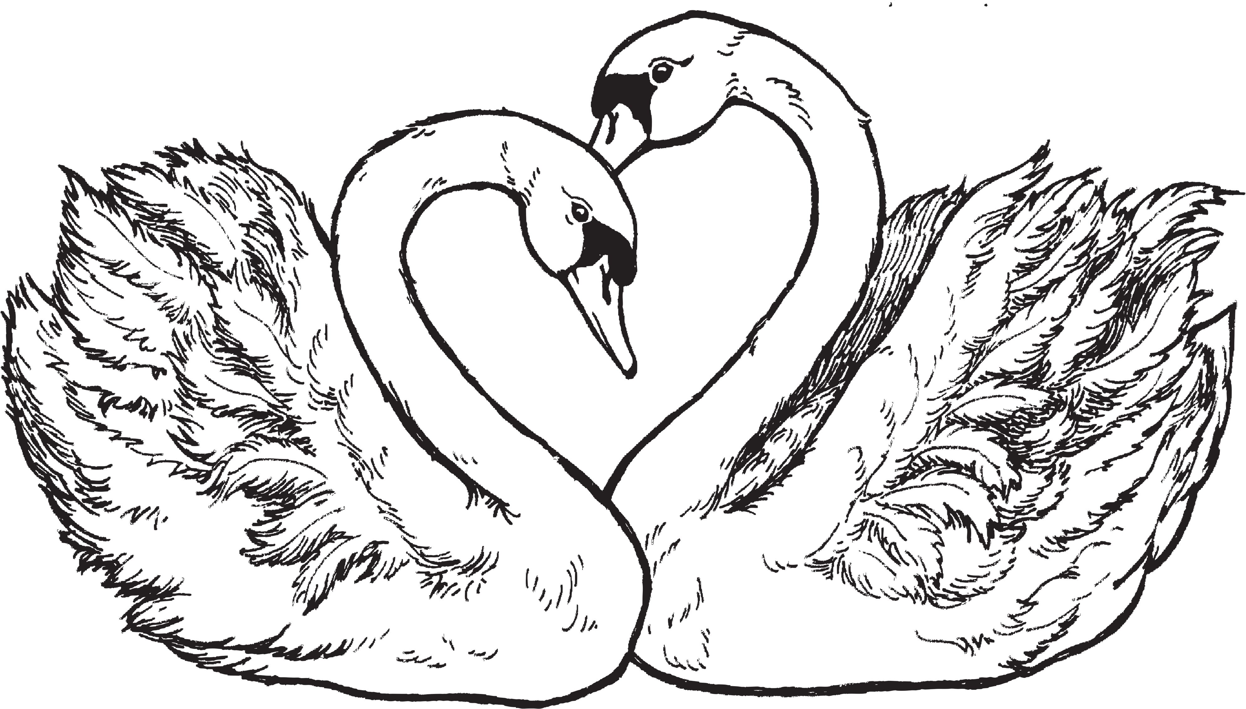 Psx Designs Heart Swans Psx Rubber Stamp #k1738 (4000x4000), Png Download
