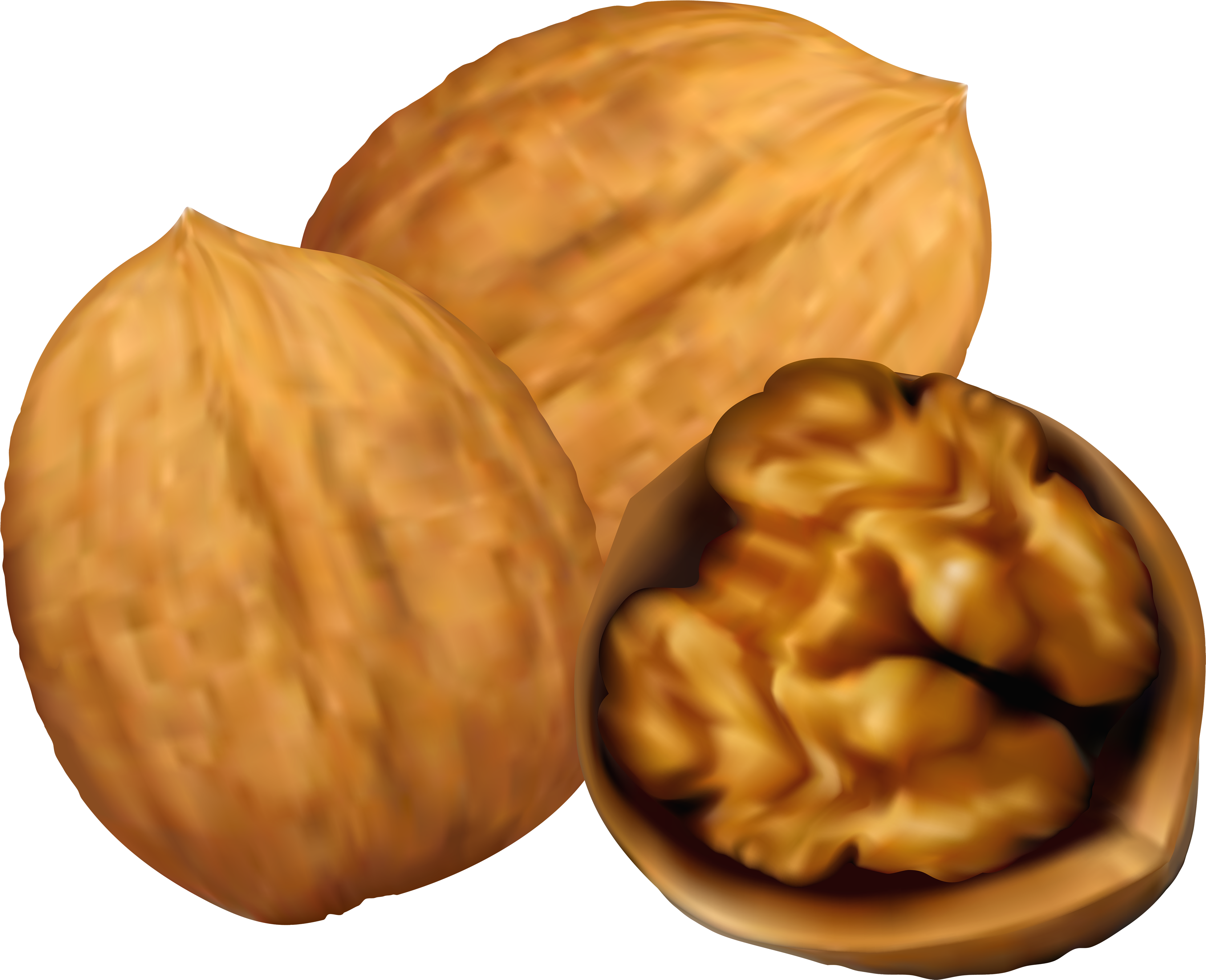 Cliparts No Nuts - Walnut Clipart (4000x3251), Png Download