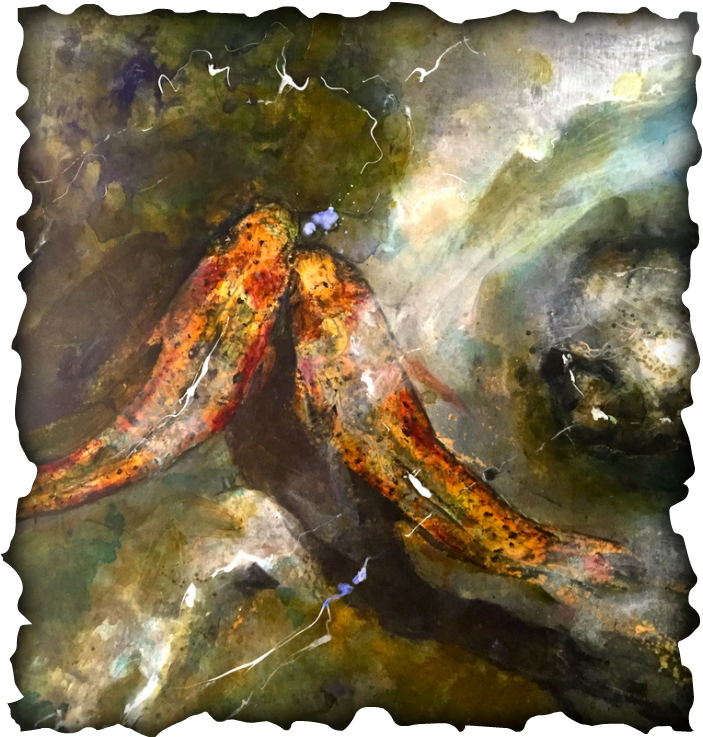 Picture - Riverzen (703x737), Png Download