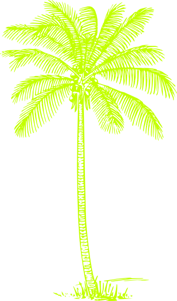 This Free Clip Arts Design Of Green Palm Tree Png (348x591), Png Download