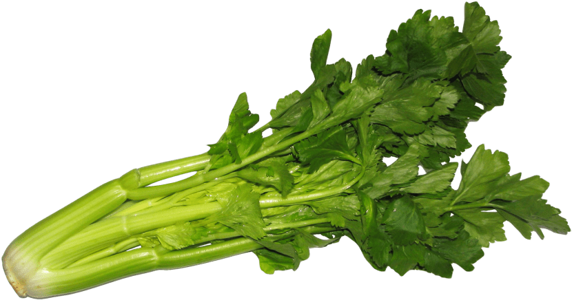 Free Png Celery Png Images Transparent - Celery Png (851x460), Png Download