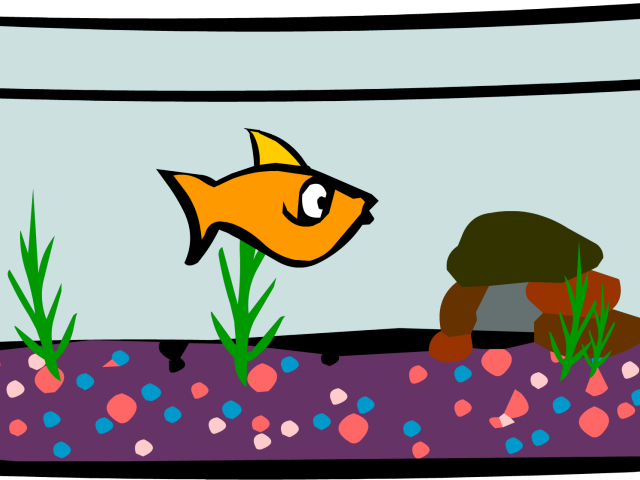 Clip Art Royalty Free Download Fish Bowl Free On Dumielauxepices - Club Penguin Aquarium (640x480), Png Download