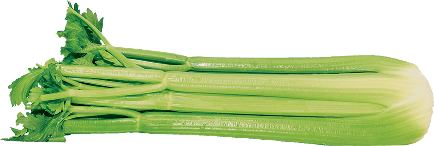 Celery - Celery Stalk Png (888x300), Png Download