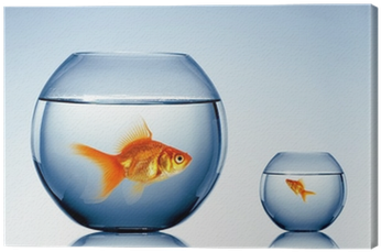 Fish Bowl (400x400), Png Download