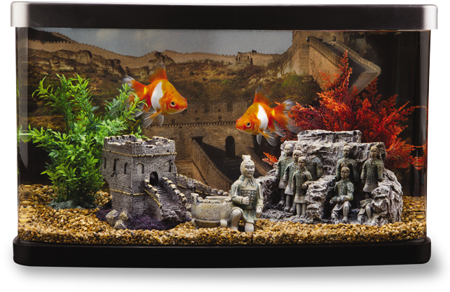 Asian - Asian Themed Fish Tanks (700x430), Png Download