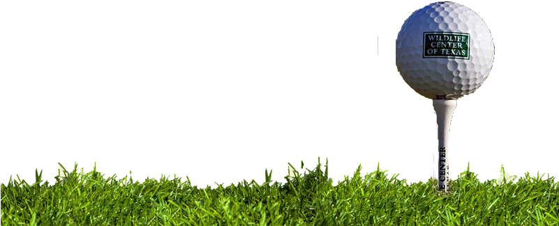 Golf Ball And Tee Png - Golf Ball And Grass Png (800x339), Png Download