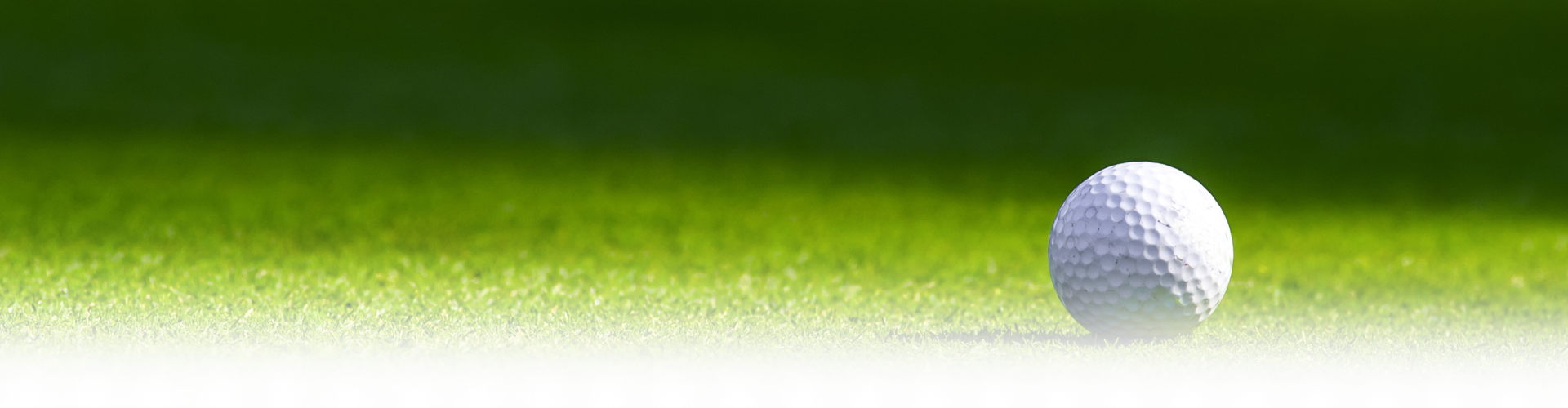 Tee Times Pelican Lakes - Golf Ball Grass Png (1920x500), Png Download