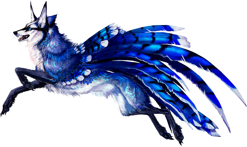 Blue Jays Images Blue Jay Wolf Hd Wallpaper And Background - Blue Jay And Wolf (1000x596), Png Download