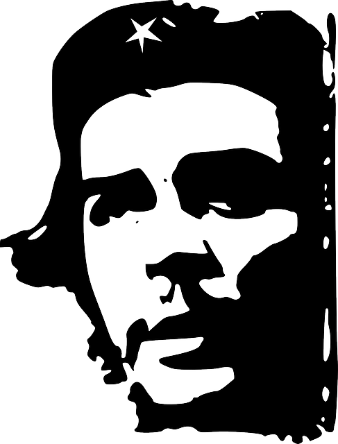 Che Guevara, Argentina, Marxist, Revolutionist - Che Guevara In Black And White (487x640), Png Download