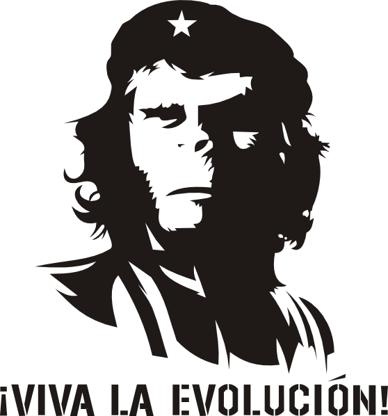 Viva La Evolucion (558x598), Png Download