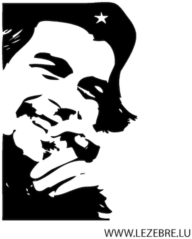 Che Guevara Smoking Hd (800x800), Png Download
