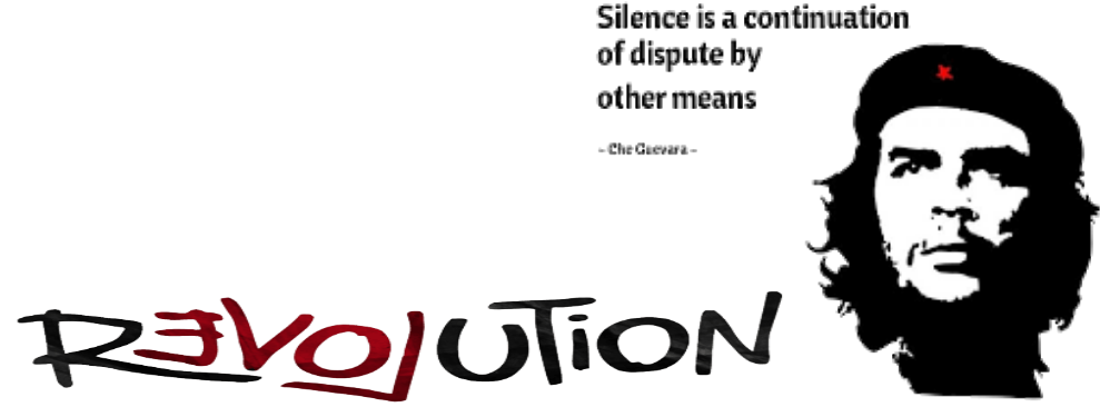 Silence Che Guevara Quotes (1024x1024), Png Download