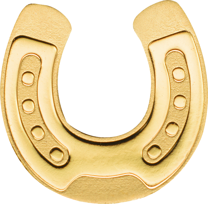 Golden Horseshoe - Gold Horseshoe (797x780), Png Download