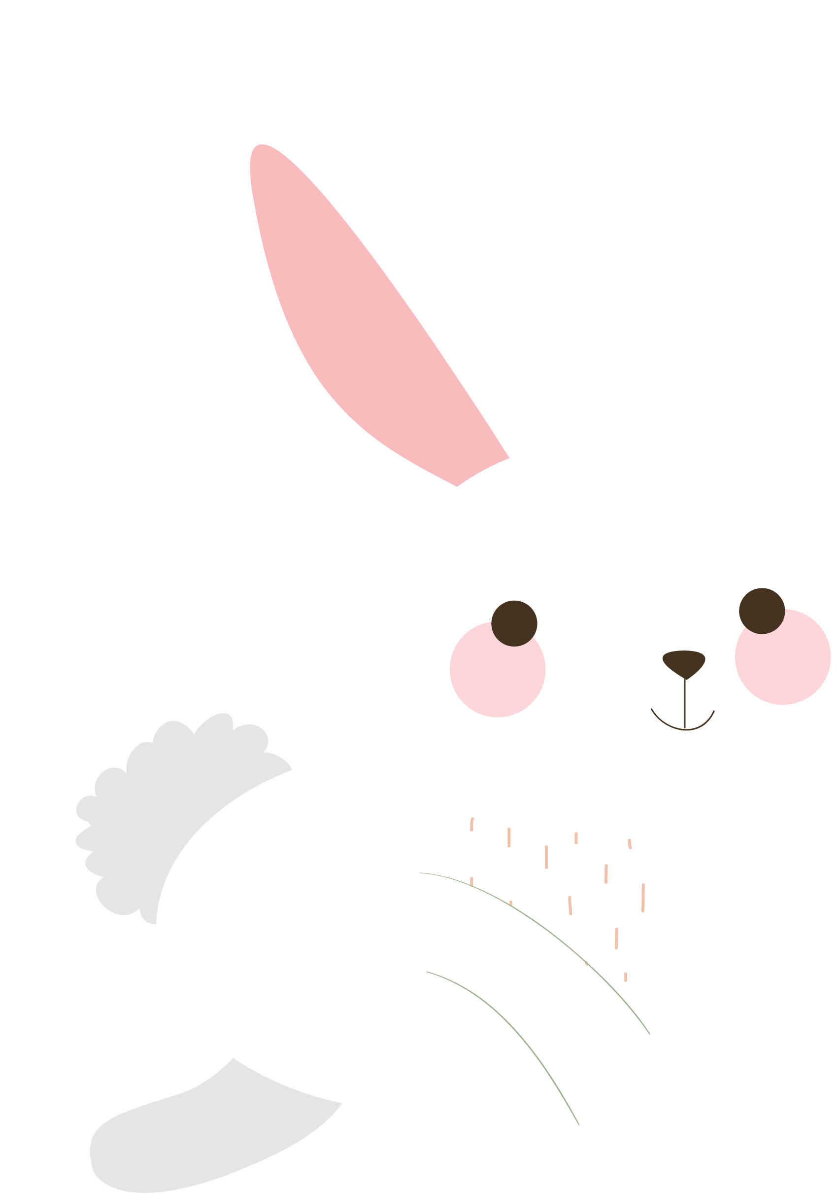 Rabbit Png Transparent Free Images Only Image - Rabbit (1703x2419), Png Download