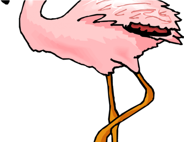 Flamingo Clipart Coral - Plameňák Png (640x480), Png Download