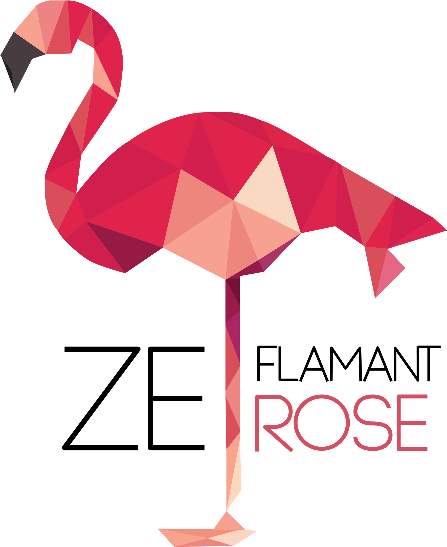 Flamingo Clip Hair - Flamant Rose Illustration (2012x2464), Png Download