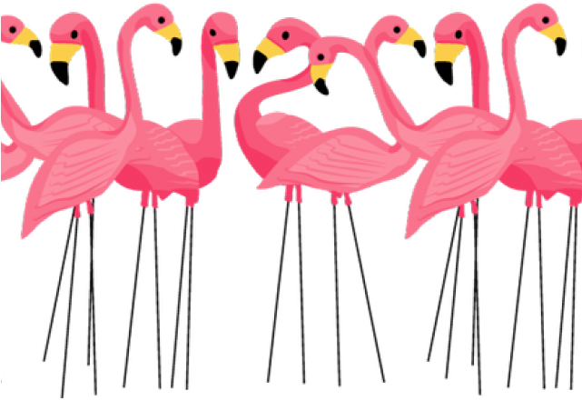 Download Flamingo Clipart Clear Background - Transparent Background