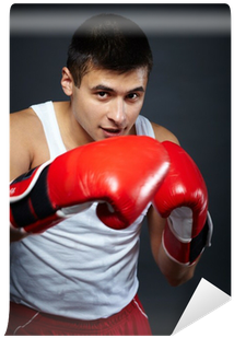 Boxing (400x400), Png Download