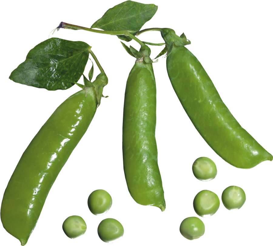 Free Png Pea Png Images Transparent - Горох Клипарт (850x767), Png Download
