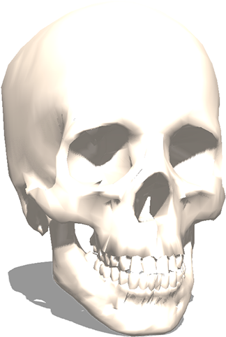 The 3d Skull From Archive3d - 3d Printing (1200x675), Png Download