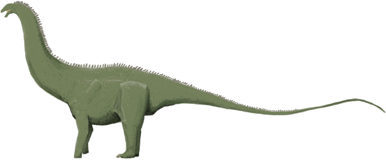 Brontosaurus Excelsus Technically, This Species Is - Tyrannosaurus (1280x571), Png Download