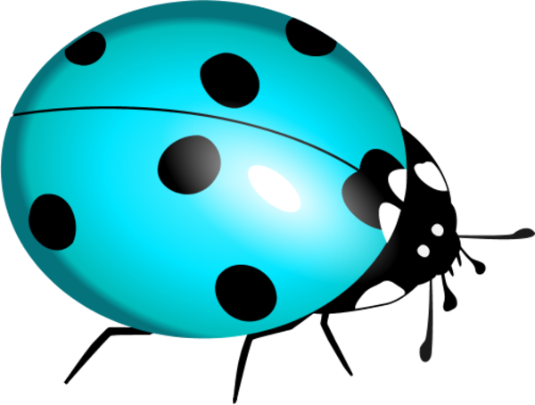 Ladybug Clipart Teal - Blue Ladybug Png (600x454), Png Download