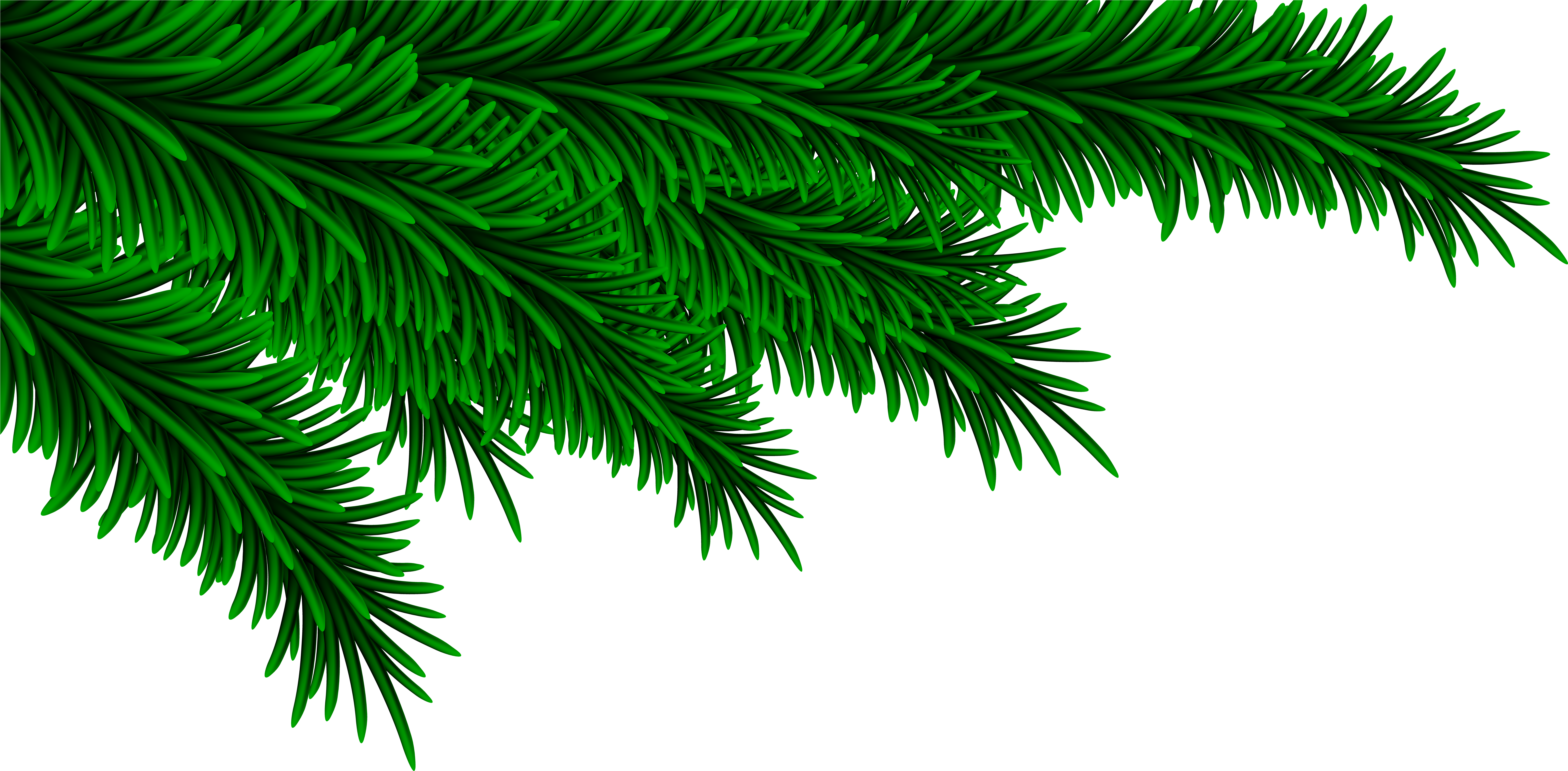 Christmas Pine Branches Decorating Png Clip Art Image - Christmas Pine Branch Png (8000x3954), Png Download
