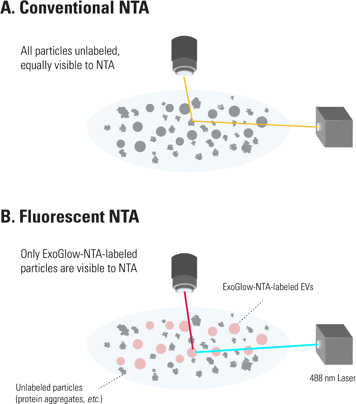, Which Collects Data On All Particles In A Solution - Nanoparticle Tracking Analysis (1381x1581), Png Download