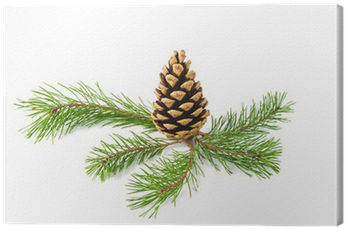 Vinyl Group (400x400), Png Download