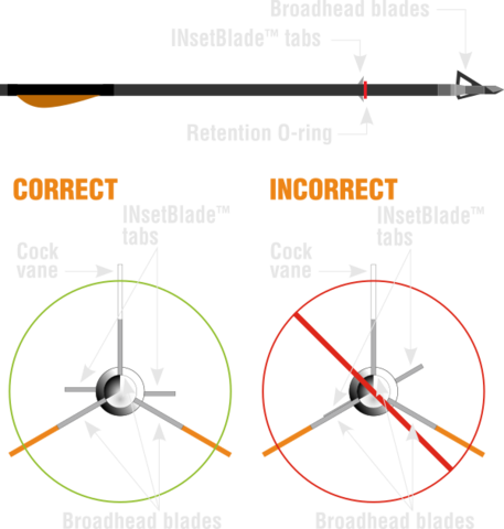 The Cock Vane And The Top Broadhead Blade Should Be - Diagram (457x480), Png Download