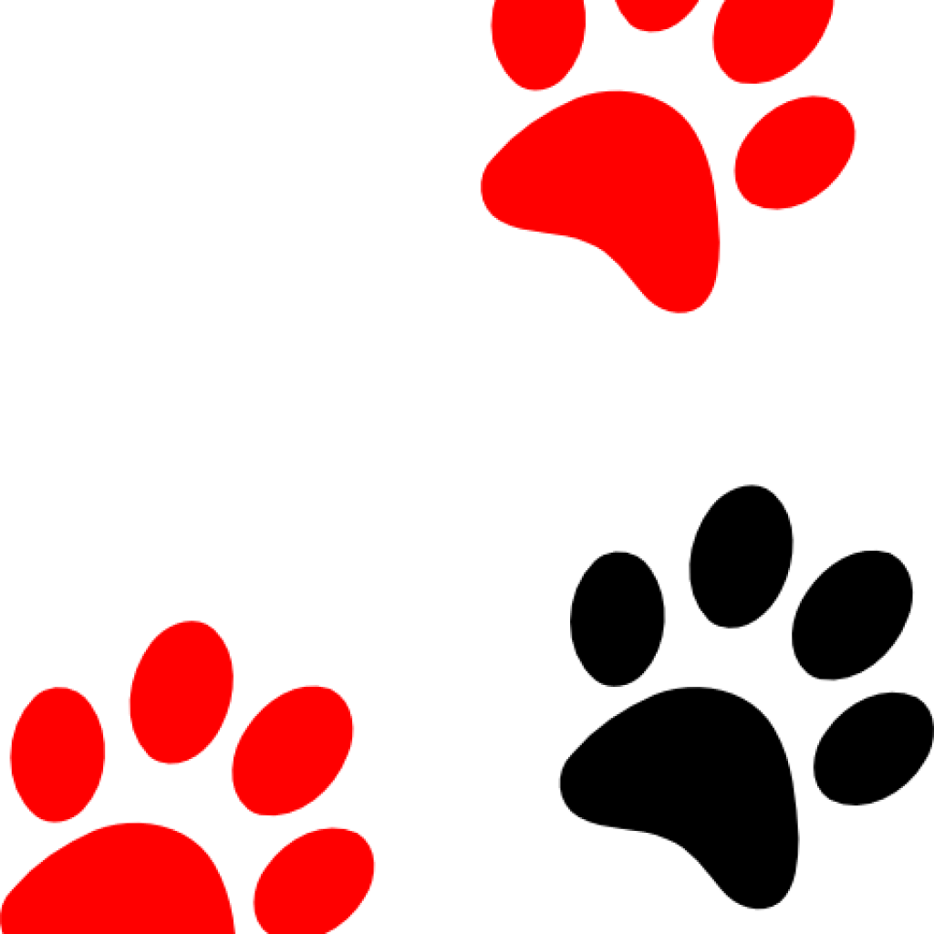 Paw Print Clip Art Camping Clipart - Blue And Gold Paw Print (1024x1024), Png Download