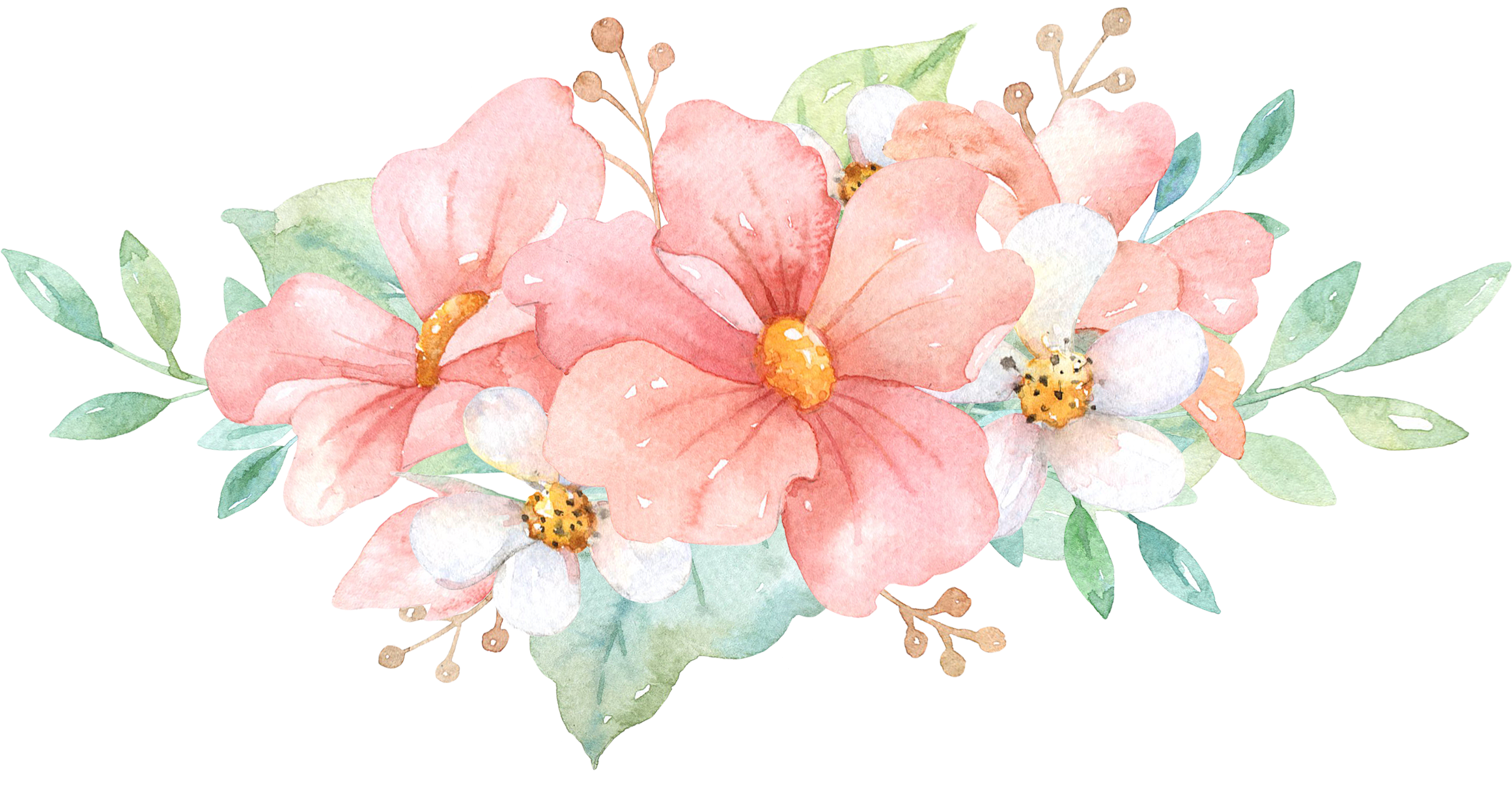 35 - Impatiens (2500x1300), Png Download