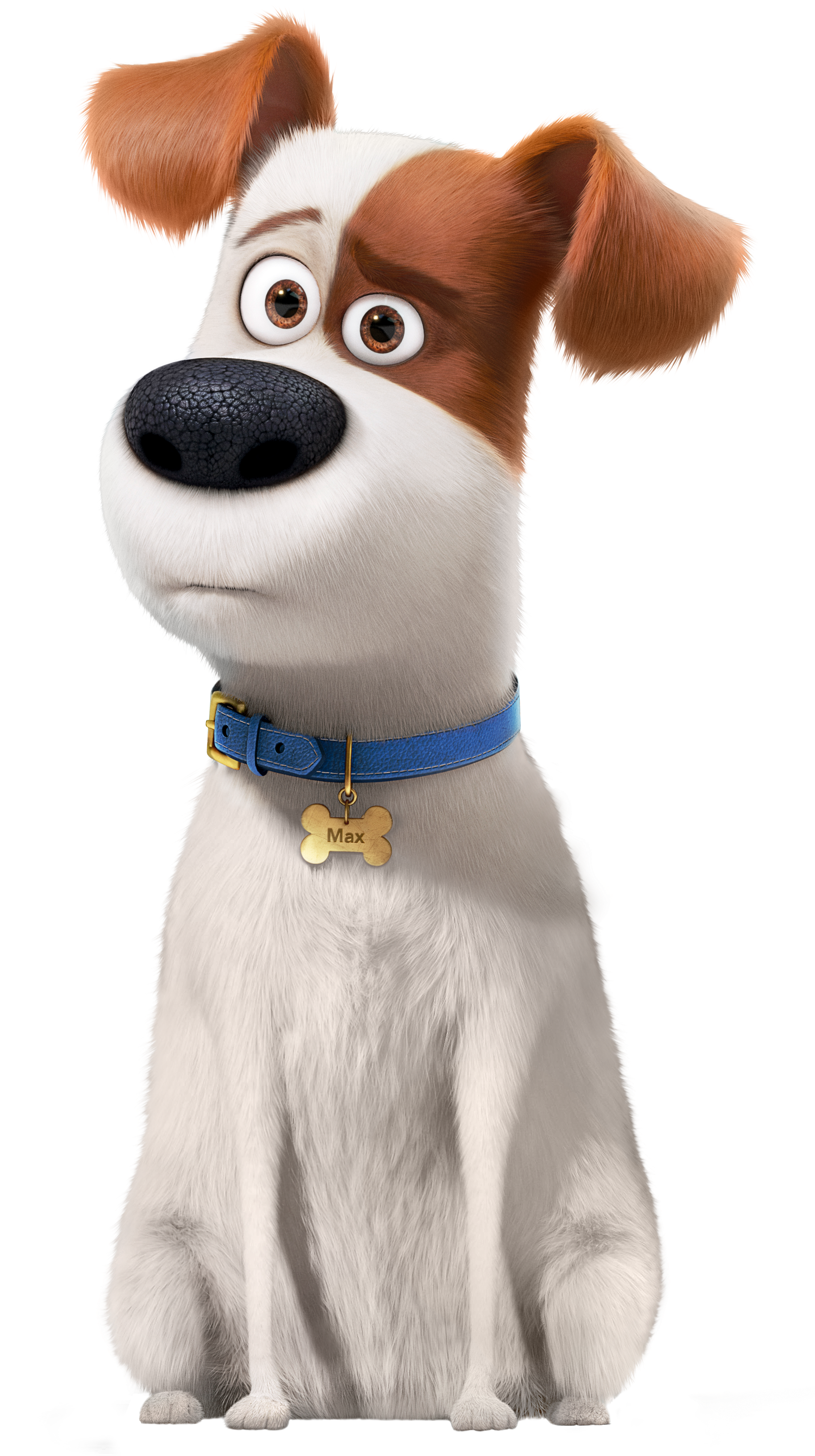 Secret Life Of Pets Transparent (1888x3288), Png Download