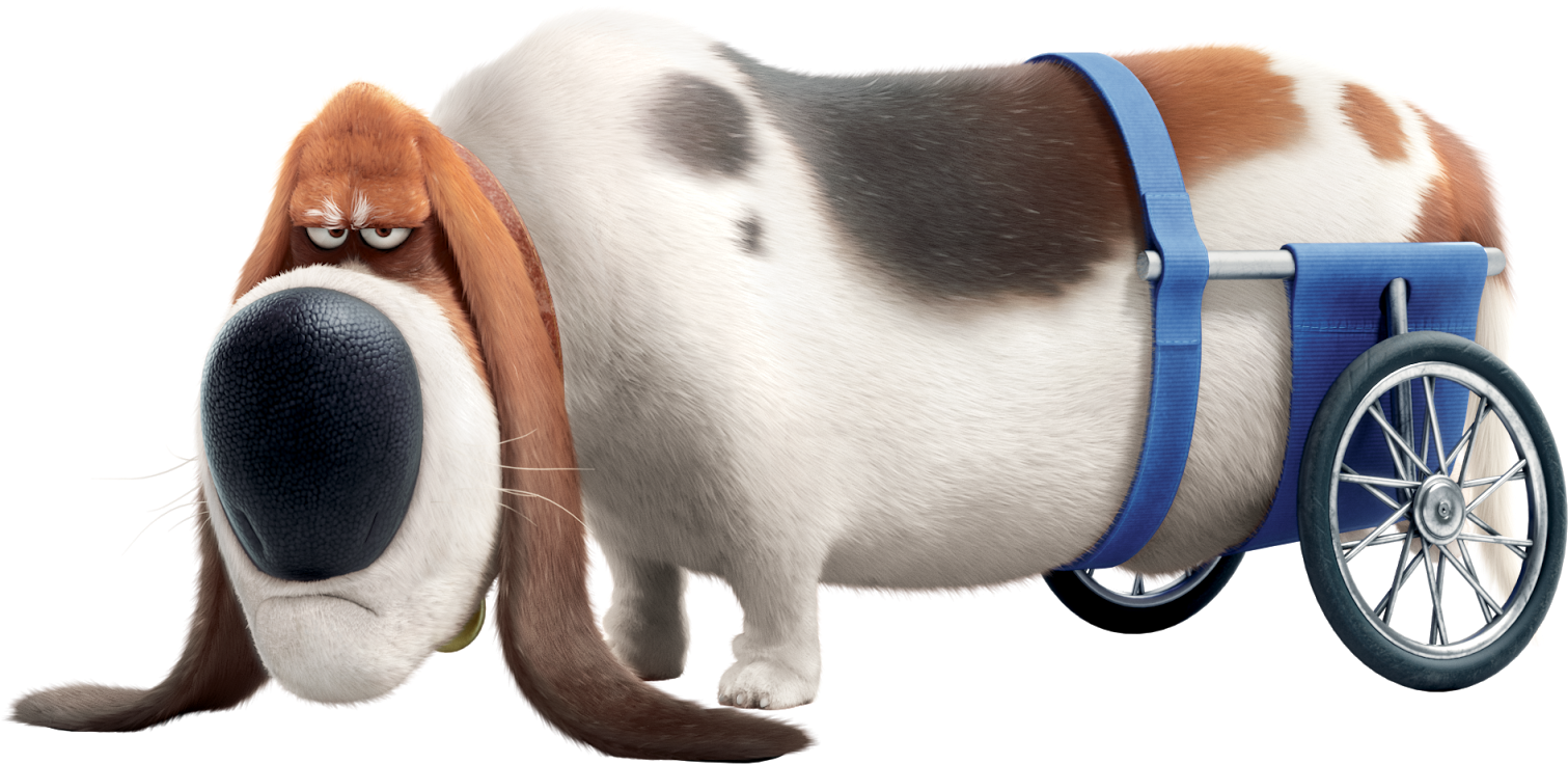 Pops Pets - Secret Life Of Pets Old Dog (1600x945), Png Download