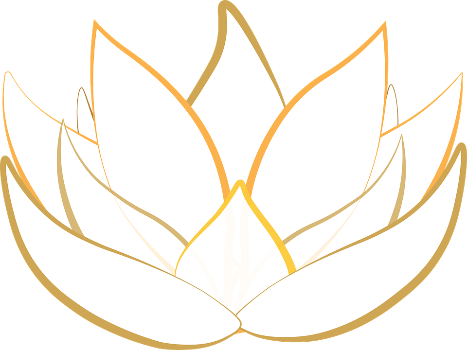 Lotus Transparent (640x480), Png Download