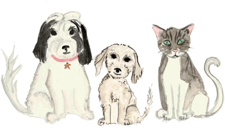Pets - Portable Network Graphics (1000x500), Png Download