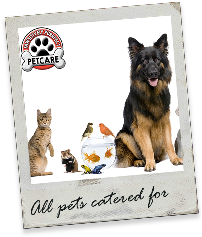 About Pawsitively Purrfect Pet Care Services - Veterinary Hospital (418x486), Png Download