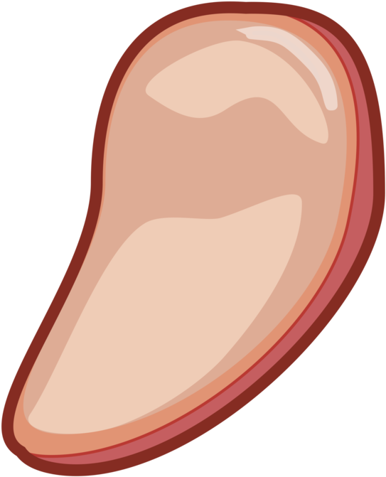 All Photo Png Clipart - Carne Clipart (622x750), Png Download