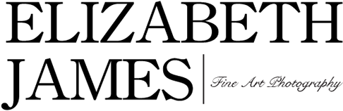 Élisabeth Logo (600x275), Png Download