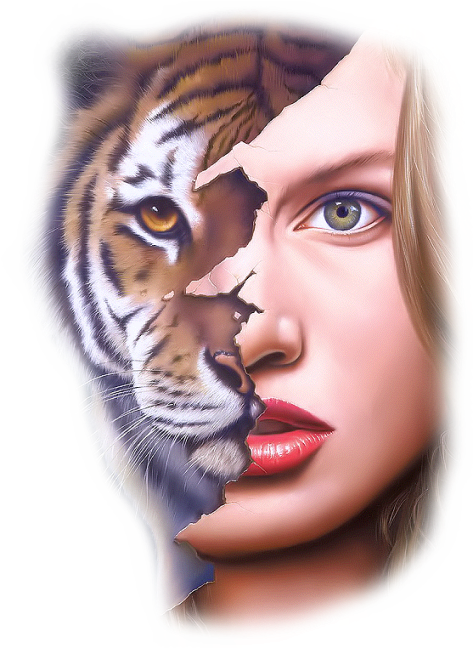 Buy Tiger-beauty Short Sleeve Tee At Wish - Jim Warren Tiger (510x680), Png Download