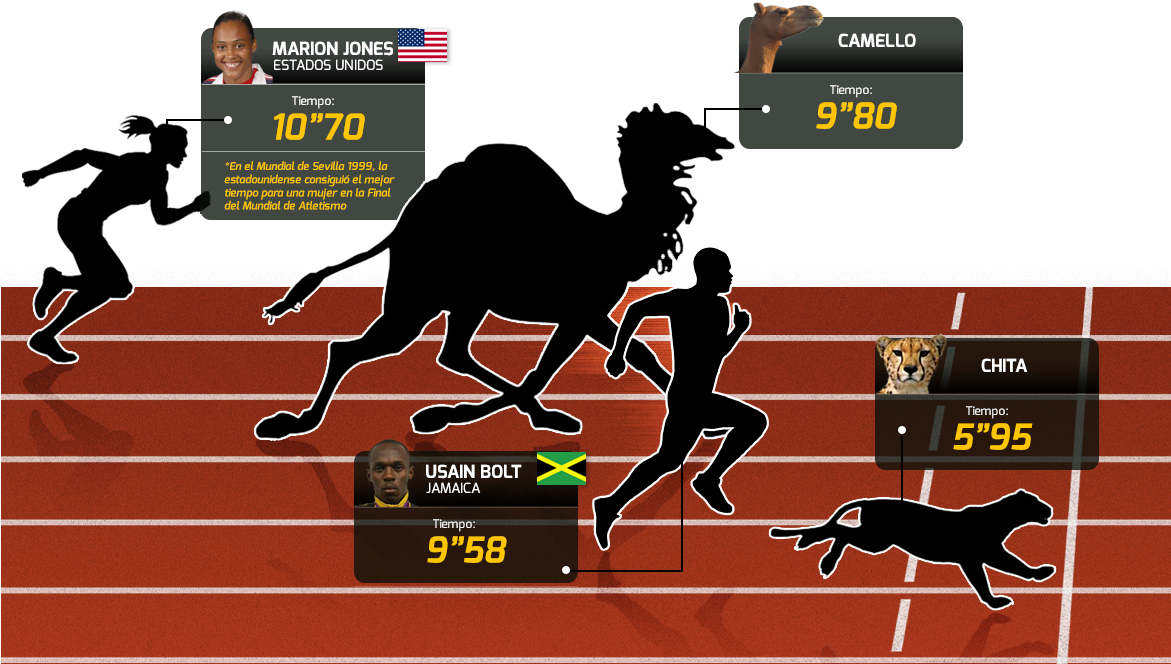 En El Reino Animal, Usain Bolt No Podría Ser El Más - Arabian Camel (1170x672), Png Download