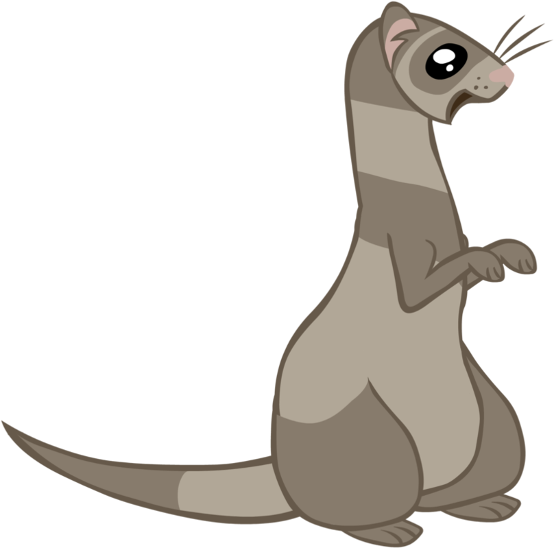 Mlp Ferret Vectorized By Png Freeuse Library - My Little Pony Ferret (894x894), Png Download