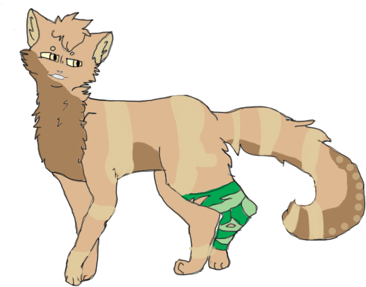 Ferret - Cat Yawns (846x717), Png Download