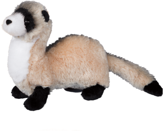 Douglas Dapper Ferret - Stuffed Ferret (600x600), Png Download
