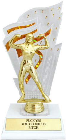 Fuck Yes You Glorious Bitch Trophy (268x480), Png Download