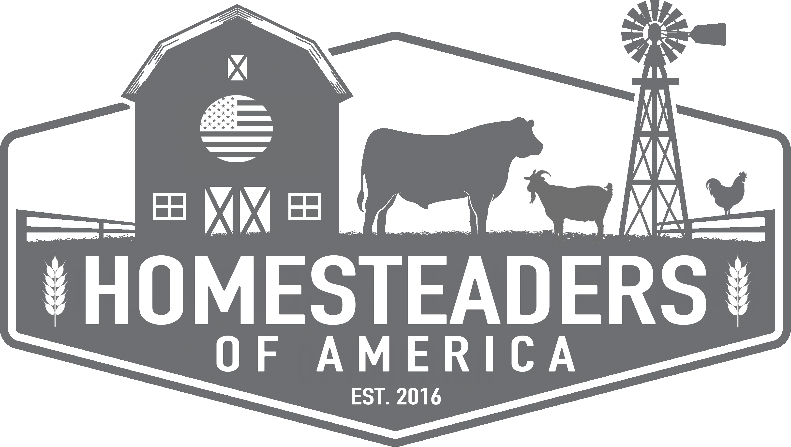 How To Treat Common Chicken Illnesses - Homesteading Logo (3217x1817), Png Download