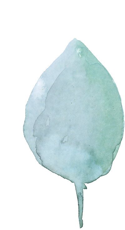 Colorful Blue Leaf Transparent Decorative - Sketch (1024x987), Png Download