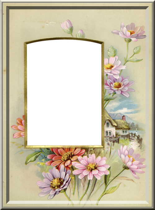 Tube Cadre Png - Free Printable Frames For Scrapbooking Love (500x678), Png Download